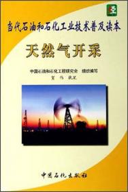 当代石油和石化工业技术普及读本：海洋石油勘探（第2版）