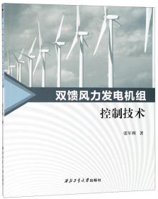 双馈感应电机在风力发电中的建模与控制：国际电气工程先进技术译丛
