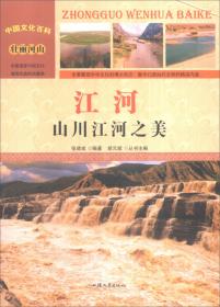 中国文化百科 壮丽河山 地质：奇特地质景观（彩图版）