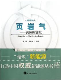 煤制天然气技术/能源工程技术丛书