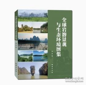 全球脑