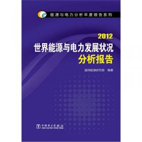 2010世界能源与电力统计分析报告