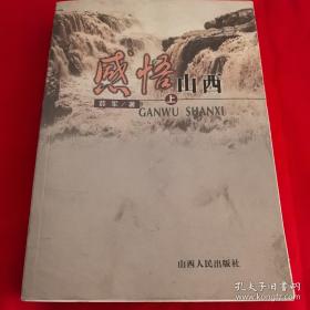 《中国企业对外直接投资效益——基于大数据与国际经验的宏微观研究》
