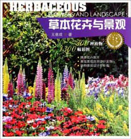 植物与景观丛书：彩叶植物与景观