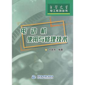 电机试验技术及设备手册（第4版）