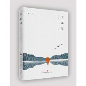 玉龙冈/民国武侠小说典藏文库·朱贞木卷