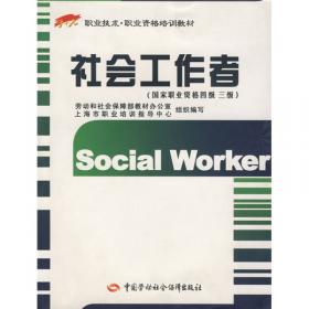 社会工作评论（第4辑）