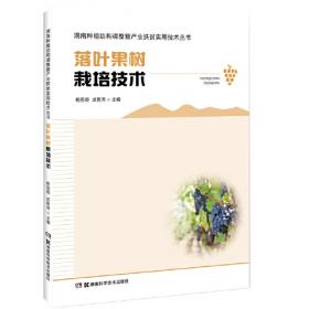 落叶：中国现代文学名著原版珍藏系列丛书