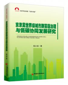 “城市病”治理的国际比较研究-（基于京津冀低碳发展的思考）