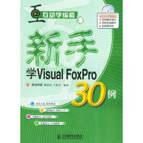 新手学Visual Basic30例