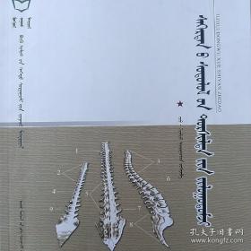 脊椎动物比较解剖学