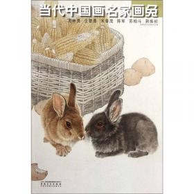 中国当代书画名家迎2011法兰克福书展系列3（套装共18册）