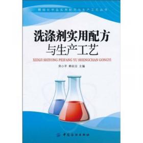 洗涤剂制造技术——精细化工品实用生产技术手册