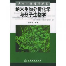 纳米生物材料学——纳米生物技术丛书