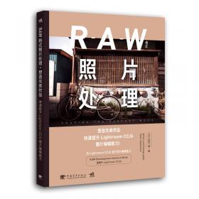 RAW格式数码照片处理专业技法（第2版）