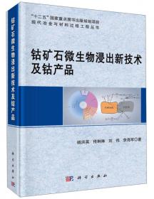 非平衡态冶金热力学/现代冶金与材料过程工程丛书“十二五”国家重点图书出版规划项目