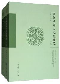 侬智高：历史的幸运儿与弃儿-中国壮学文库