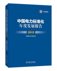 中国电力行业年度发展报告2021