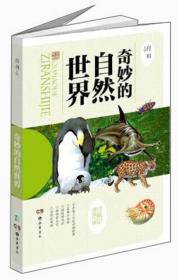 美好的社会生活·小学生阅读文库：遥望历史天空