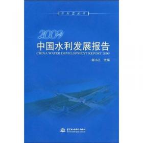 2010中国水利发展报告 