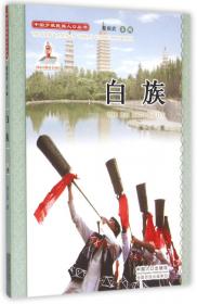 中国少数民族人口丛书：彝族