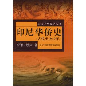 印尼Etc.：众神遗落的珍珠(理想国译丛037)