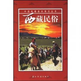 西藏历史（法文版）