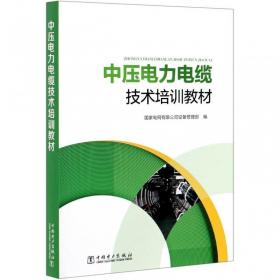 中压配电网可靠性评估应用指南