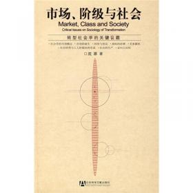 清华社会学评论（第6辑）：社会转型与新生代农民工