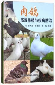 肉鸽养殖与疾病防治