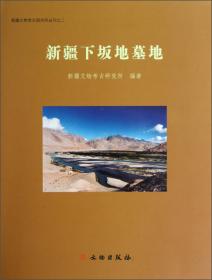 吐鲁番阿斯塔那-哈拉和卓墓地（哈拉和卓卷）/新疆文物考古研究所丛刊