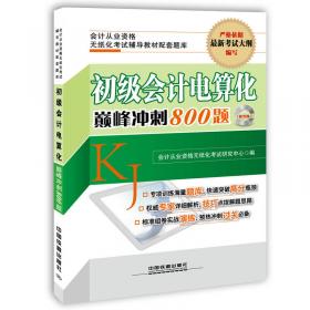 2015山东省会计从业资格无纸化考试专用教材：会计电算化高分题库