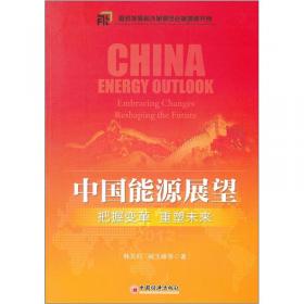 国家发展战略研究丛书：能源安全战略