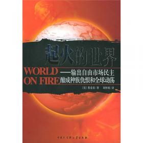 起火的世界：自由市场民主与种族仇恨、全球动荡（第二版）/雅理译丛