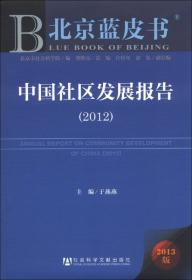 北京文化发展报告（2008-2009）