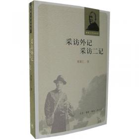 中国文学概要 小说新语