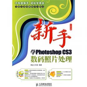 新手学Photoshop CS3图像处理