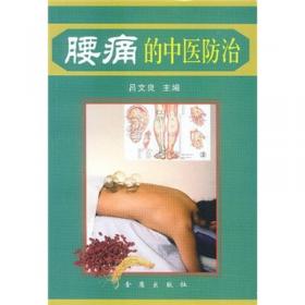腰痛(中医常见及重大疑难病证专辑文献研究丛书)