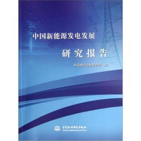 中国电力行业年度发展报告2014