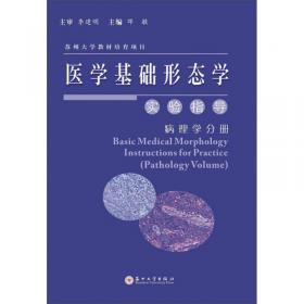 地球观测与导航技术丛书：空间聚类分析及应用