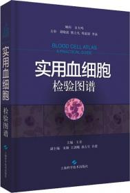 北京师范大学史学探索丛书：上博简《曹沫之陈》疏证与研究
