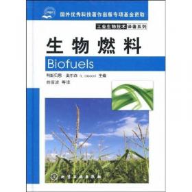 生物炼制：工业过程与产品（上卷）