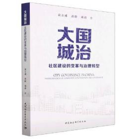 大陆与台湾地区乡镇治理比较研究