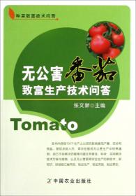 北方蔬菜栽培新模式丛书：番茄高效栽培新模式