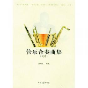 似水年华：中国影视歌曲改编的小提琴曲集