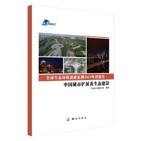 全球生态环境遥感监测2020年度报告(全球城市扩展与土地覆盖变化)