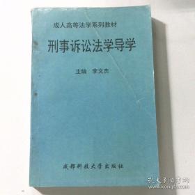 刑事法前沿