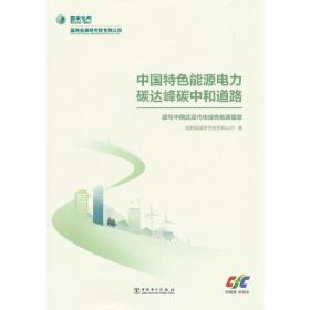 能源与电力分析年度报告系列 2021 国内外能源电力发展及转型分析报告