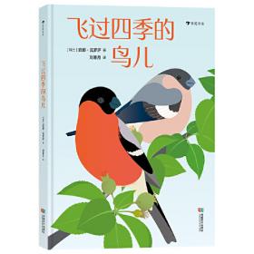 飞过一片时间海/浙江少年文学新星丛书