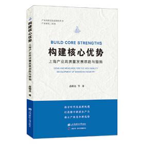 构建强子结构理论——中国物理学家的层子模型